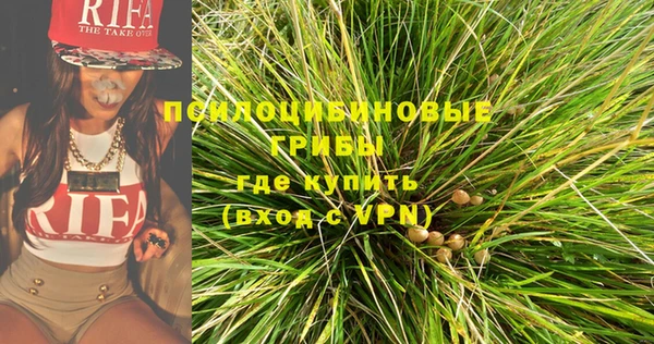 эйфоретик Алексин