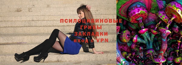 эйфоретик Алексин